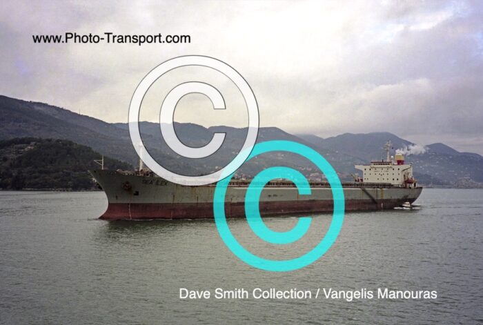 SEA ILEX  - Bulk Carrier