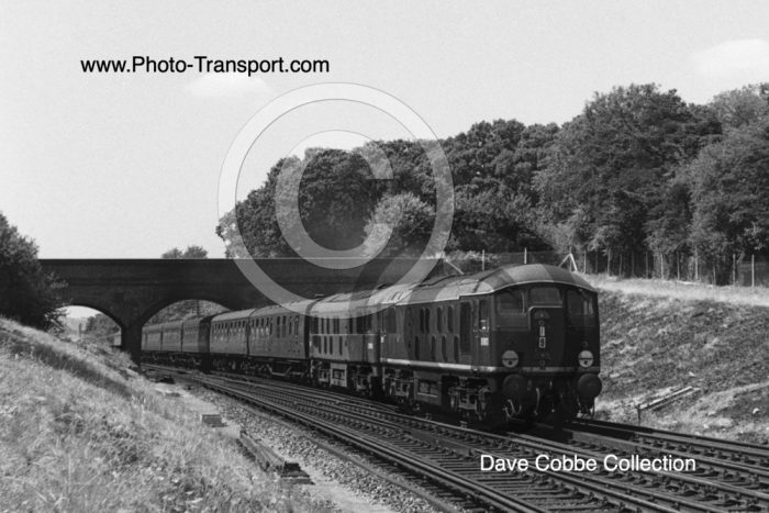 Type 2 Nos D5013 and D 5000
