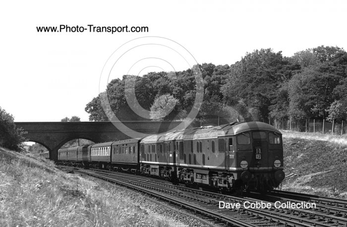 Type 2 Nos D5013 and D5012