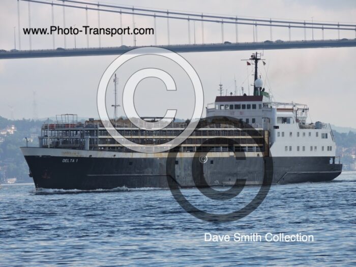 DELTA 1 - Livestock Carrier