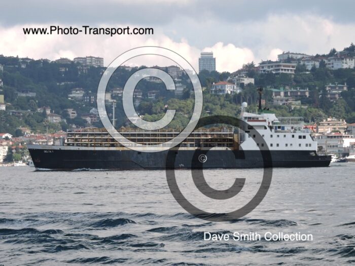 DELTA 1 - Livestock Carrier