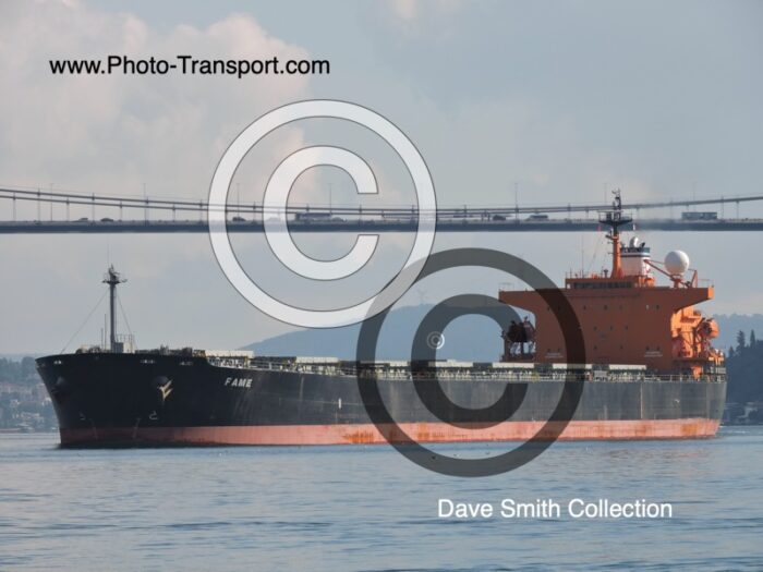 FAME  - Bulk Carrier