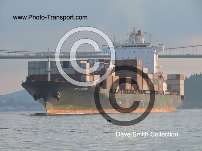 ZIM LIVORNO  - Container