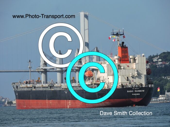 BASIC RAINBOW - Bulk Carrier