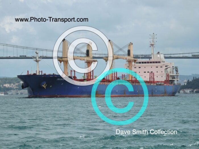 PROMISE 3 - Bulk Carrier