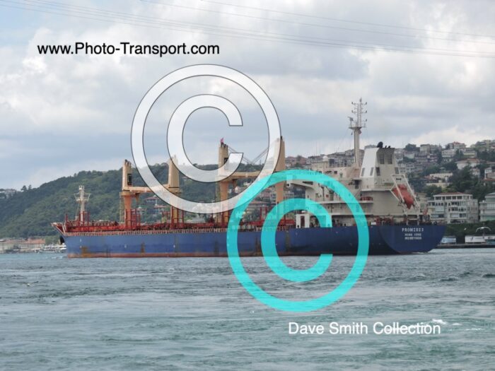 PROMISE 3 - Bulk Carrier