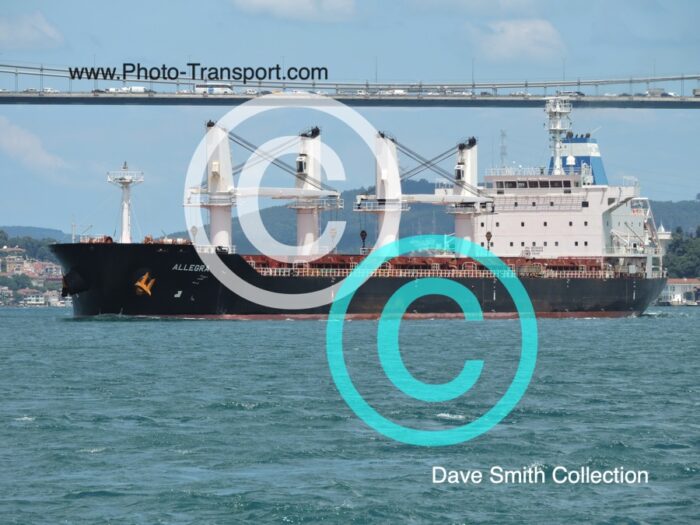 ALLEGRA -  Bulk Carrier   