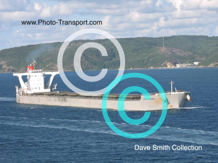 CAPE NORMANDY -  Bulk Carrier