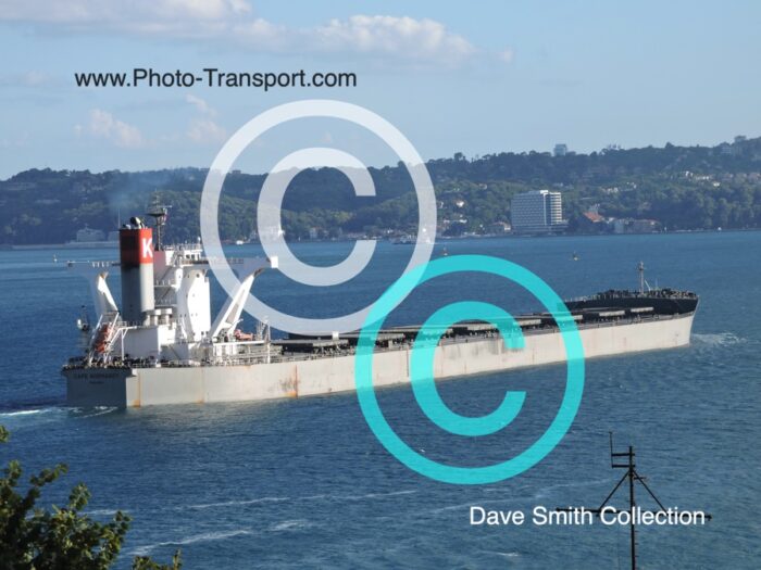 CAPE NORMANDY -  Bulk Carrier