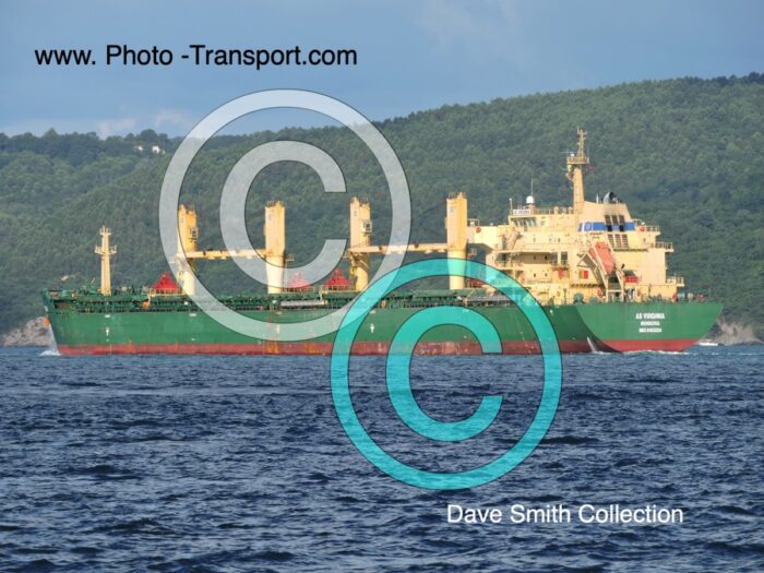 AS VIRGINIA  - Bulk Carrier