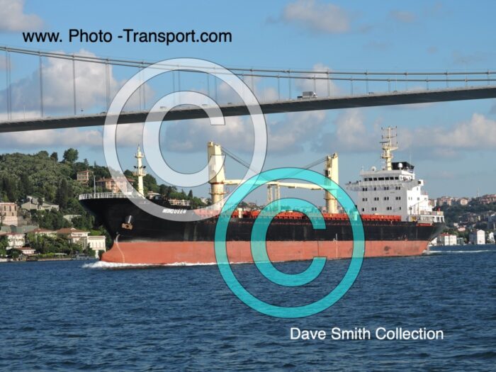 MEDIQUEEN - Bulk Carrier