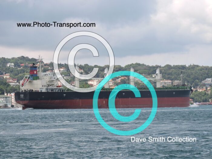 ATHENA - Bulk Carrier