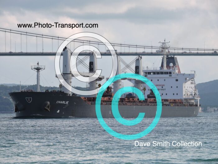 CHARLIE - Bulk Carrier