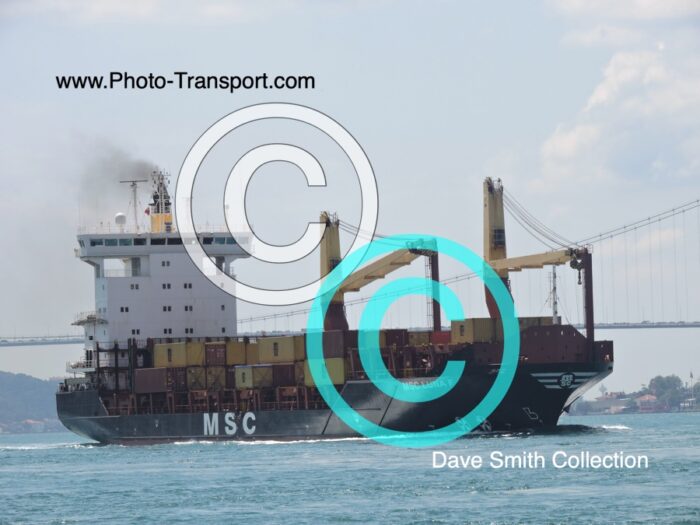 MSC LUNA F  - Container