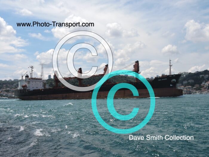 SEA SHARK - Bulk Carrier