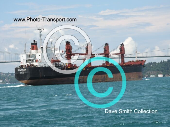 SEA SHARK - Bulk Carrier