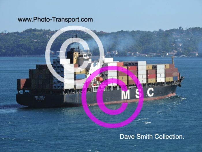 MSC SENA - Container