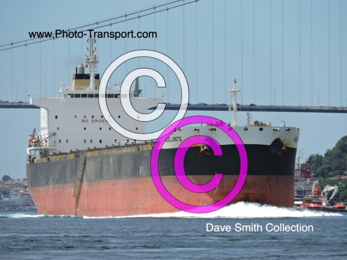 ADELANTE  - Bulk Carrier