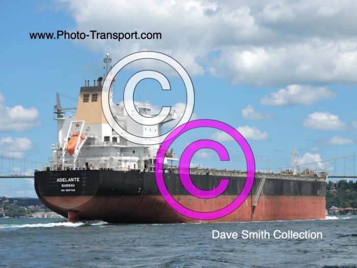 ADELANTE  - Bulk Carrier