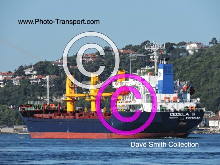 CECELA  S - Bulk Carrier