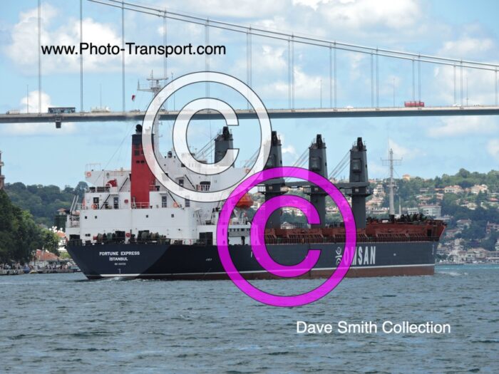 FORTUNE EXPRESS - Bulk Carrier