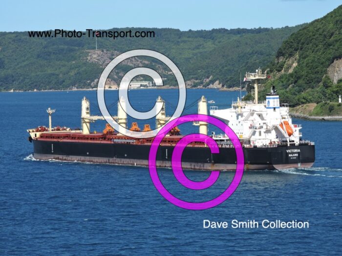 VICTORIA - Bulk Carrier
