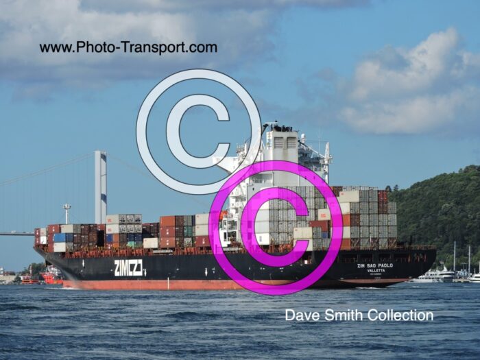 ZIM SAO PAOLO  -  Container