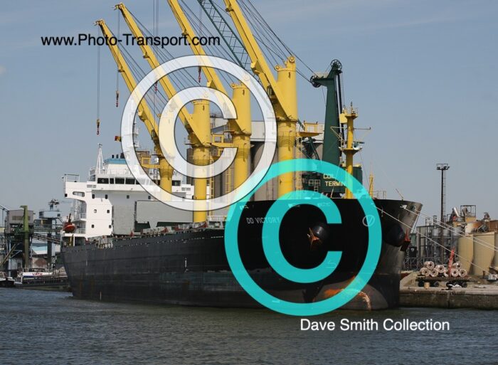 DD VICTORY - Bulk Carrier