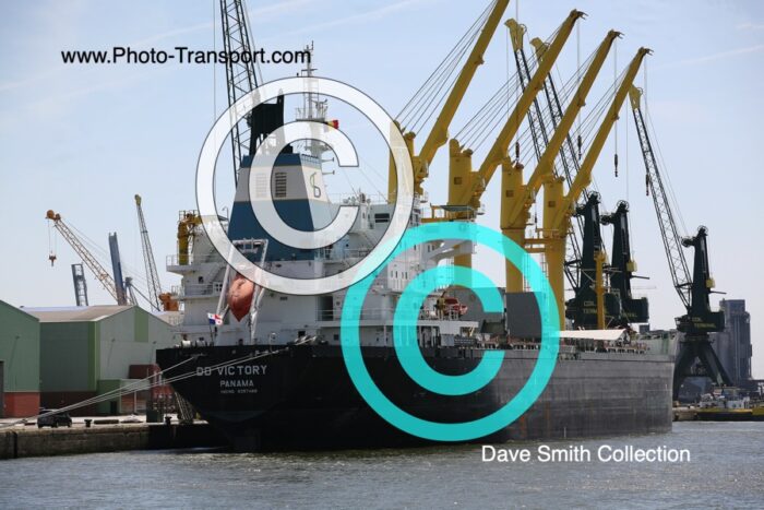 DD VICTORY - Bulk Carrier