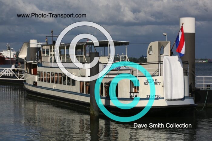 DIANE (PARTYSCHIP) - Pass Ship