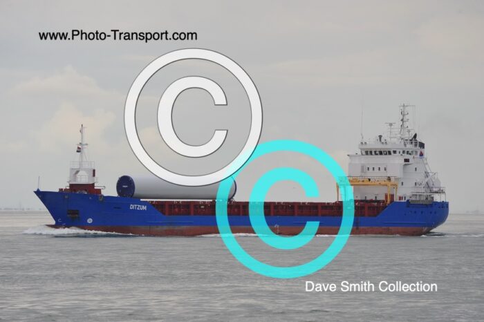 DITZUM  - Gen Cargo