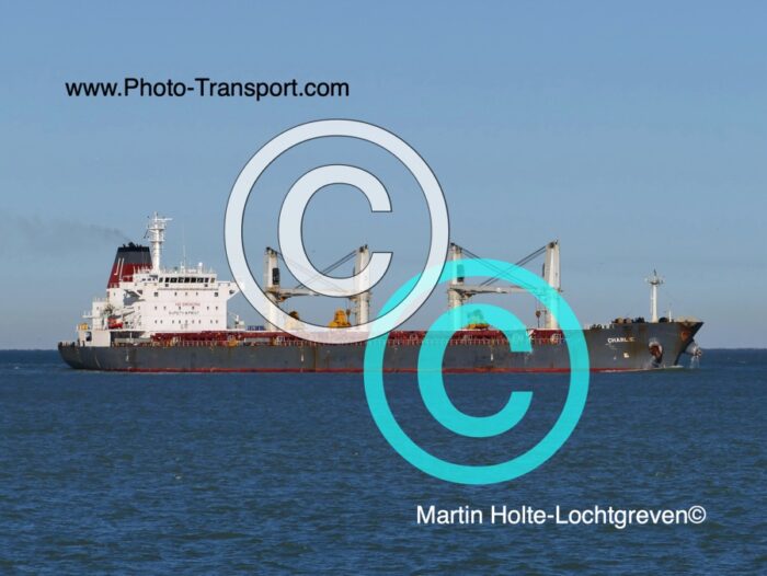 CHARLIE   -  Bulk Carrier