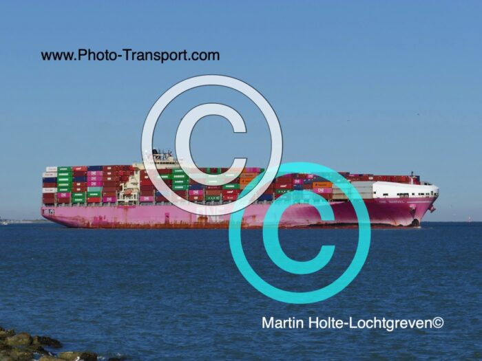 ONE MARVEL  -  Container
