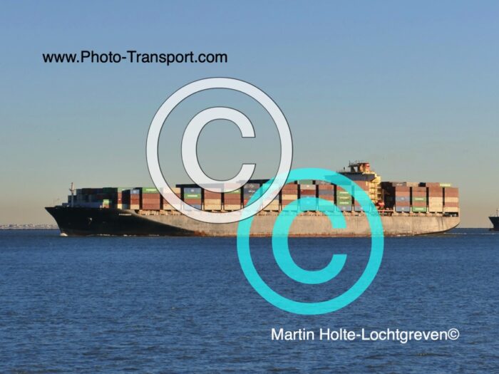 SAVANNAH  -  Container