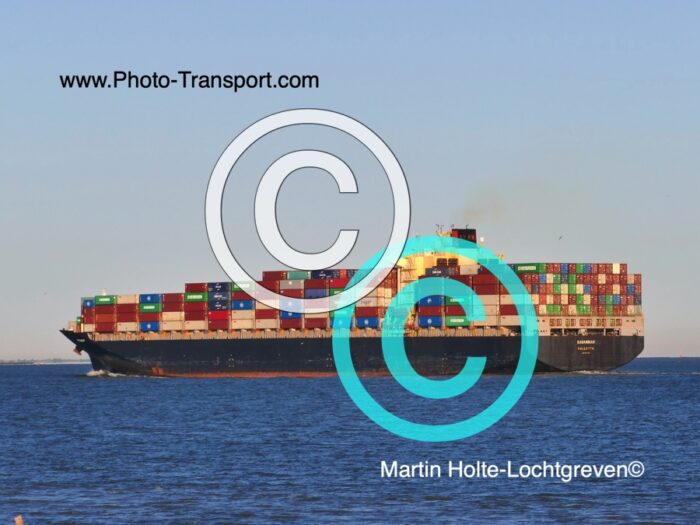 SAVANNAH  -  Container