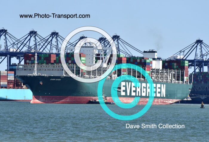 EVER GIVEN  - Container