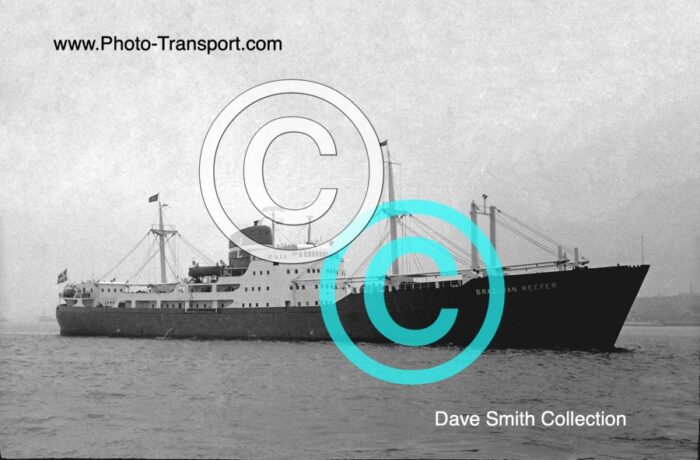 BRAZILIAN REEFER  -  Reefer