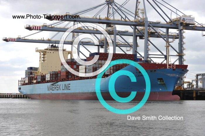 MAERSK LAVRAS  -  Container