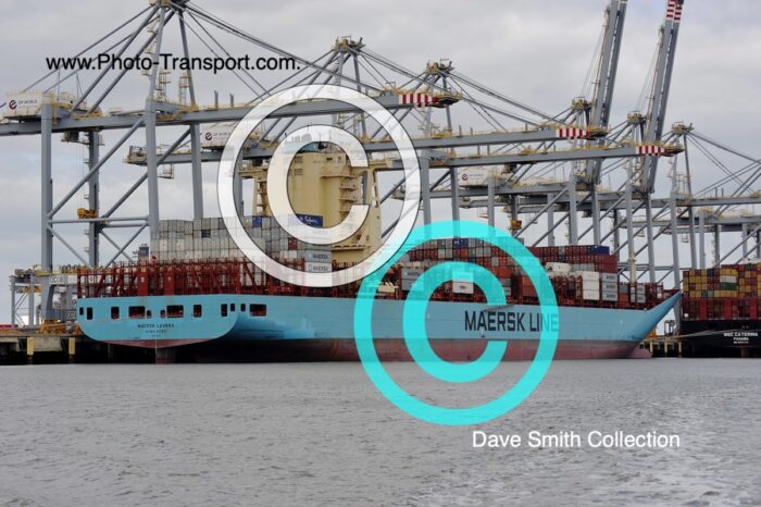 MAERSK LAVRAS  -  Container