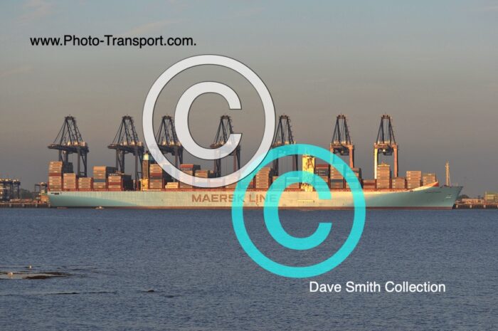 MAJESTIC MAERSK   -  Container
