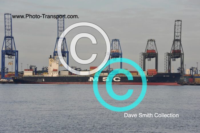 MSC SOPHIE   -  Container