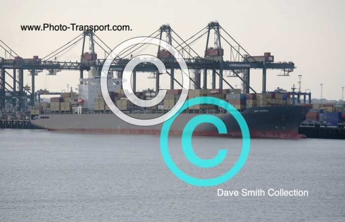 MSC UGANDA - Container