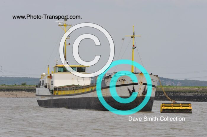 POLLA ROSE - Gen Cargo