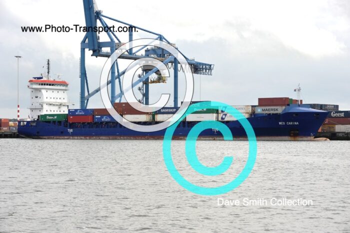 WES CARINA - Container