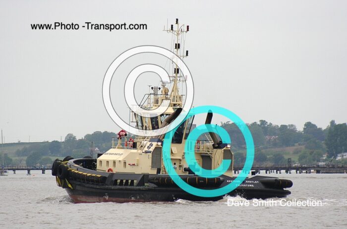 ADSTEAM SHOTLEY  - Tug - Svitzer Colours