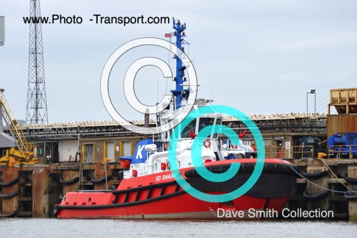 SD SHARK - Tug