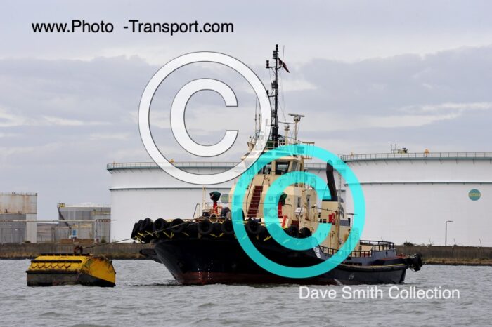 SVITZER INTREPID - Tug - Svitzer Colours