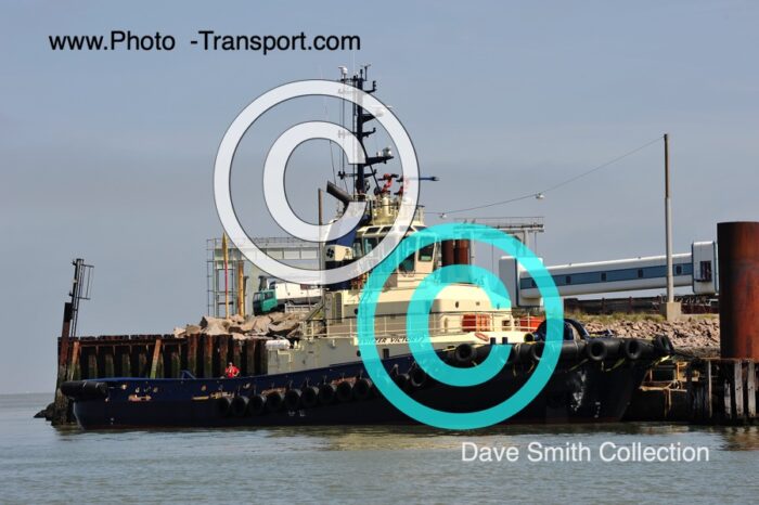SVITZER VICTORY - Tug - Svitzer Colours
