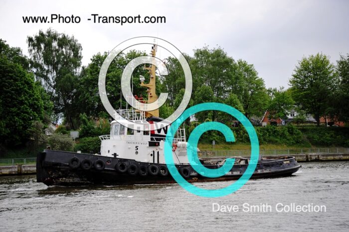 TAUCHER O.WULF - Tug