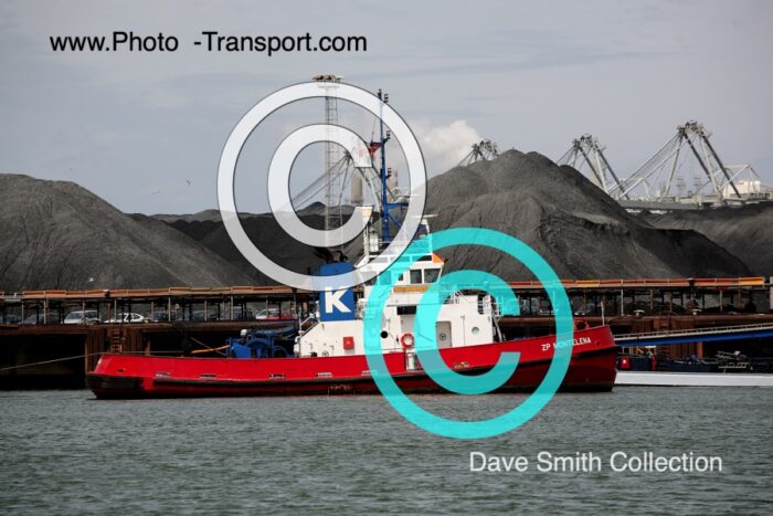 ZP MONTELENA  - Tug
